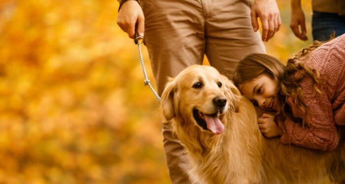 service dogs for epilepsy